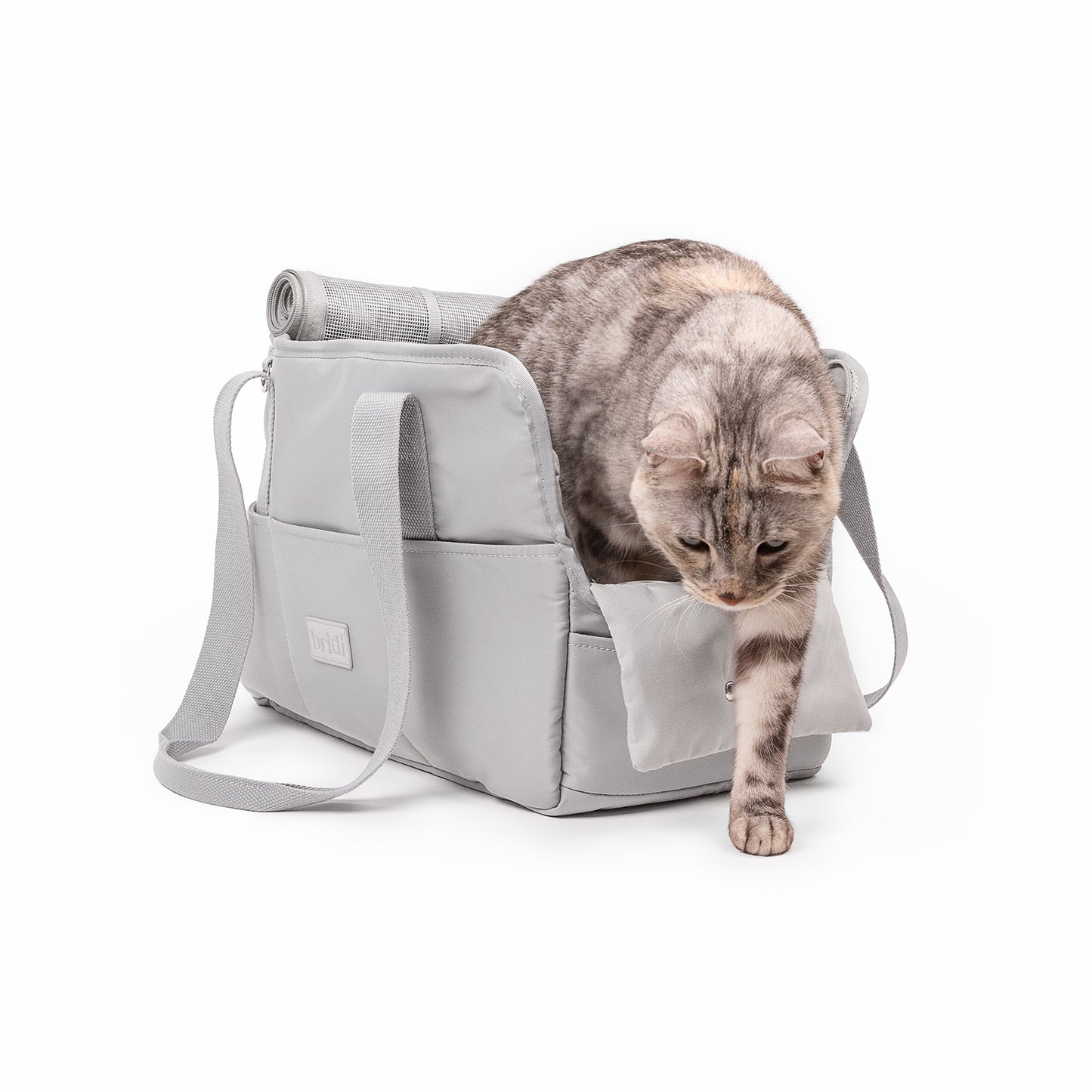 EVERYDAY PET BAG
