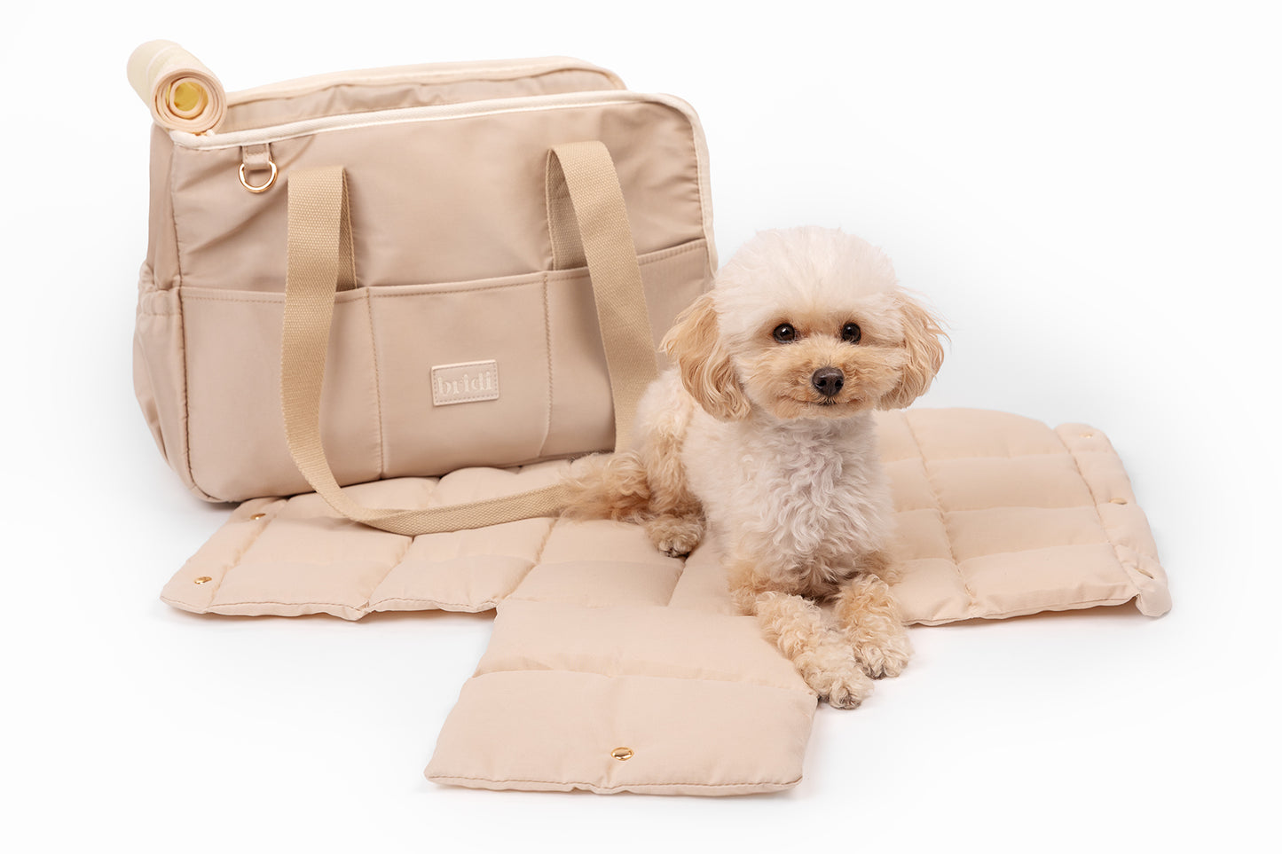 EVERYDAY PET BAG