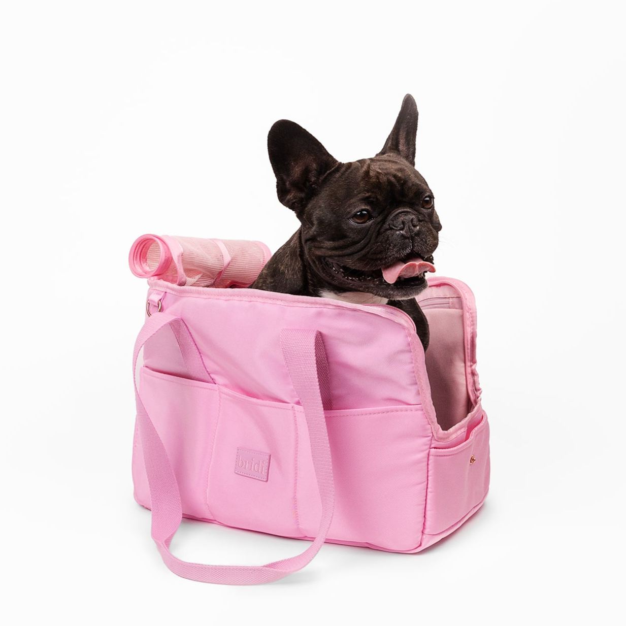 EVERYDAY PET BAG