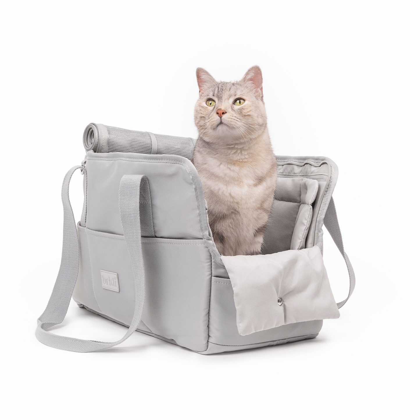 EVERYDAY PET BAG