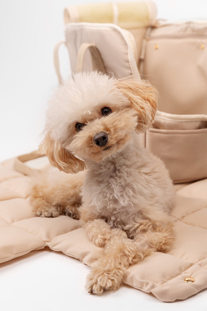 EVERYDAY PET BAG